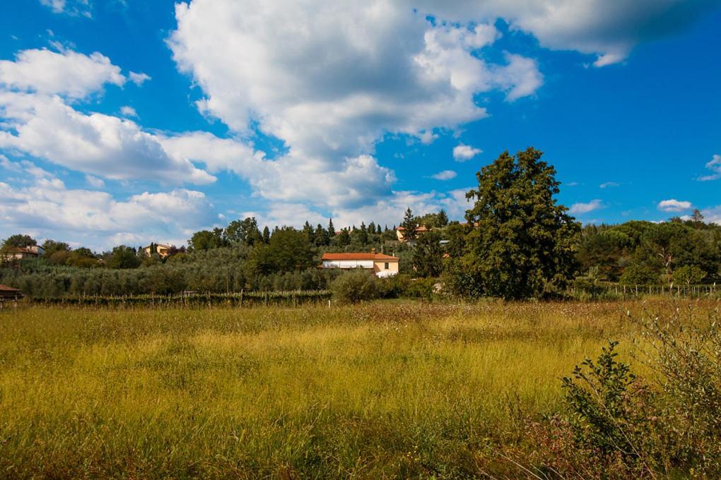 Bed and Breakfast Agriturismo Terre Di Leonardo Винчи Экстерьер фото